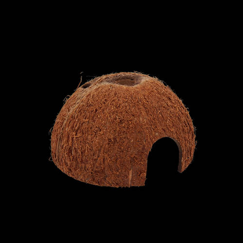 Repti Planet Coconut shell - kókuszhéj ház (M) terráriumi állatok részére