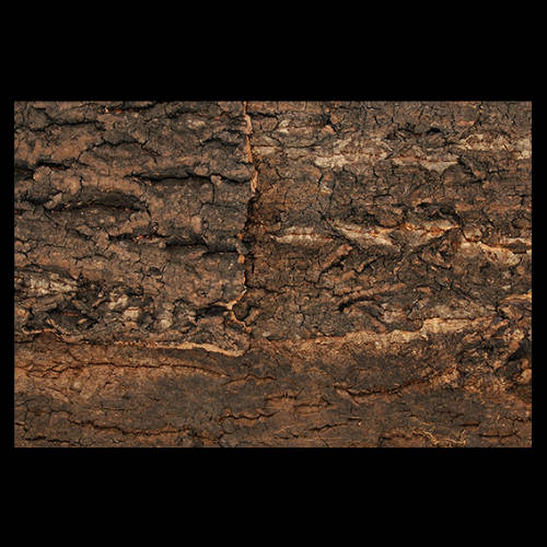 Repti Planet Background cork natural - parafa háttér terráriumokba (43,5x56x2cm)