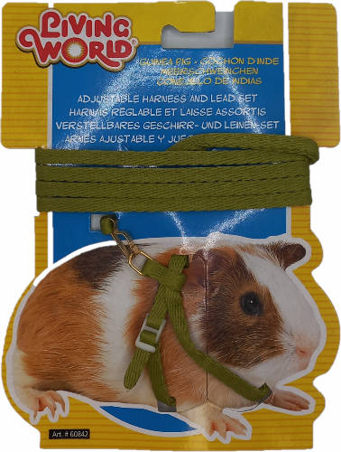 Kt. Hagen Living World tengerimalac hám (zöld)