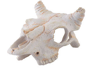 Hagen Exo Terra Primate Skull - búvóhely (bivaly koponya) terráriumokba