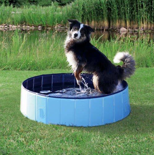 Trixie Dog Pool - medence (kék) kutyák részére (160x30cm)