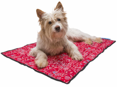 Aqua Coolkeeper hűtőpléd piros western S (40x30cm)