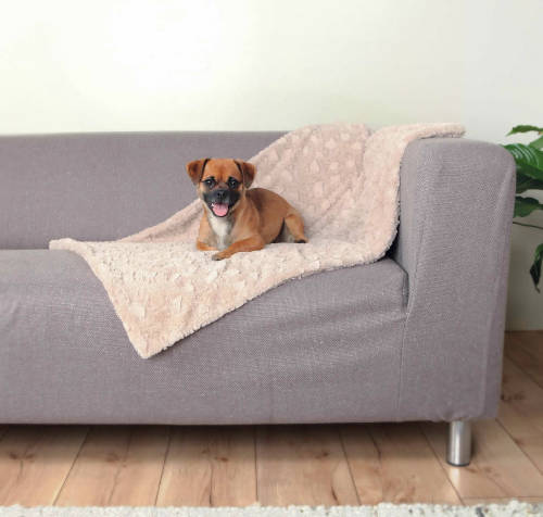 Trixie Cosy Blanket - mintás takaró (bézs) kutyák részére (70x50cm)