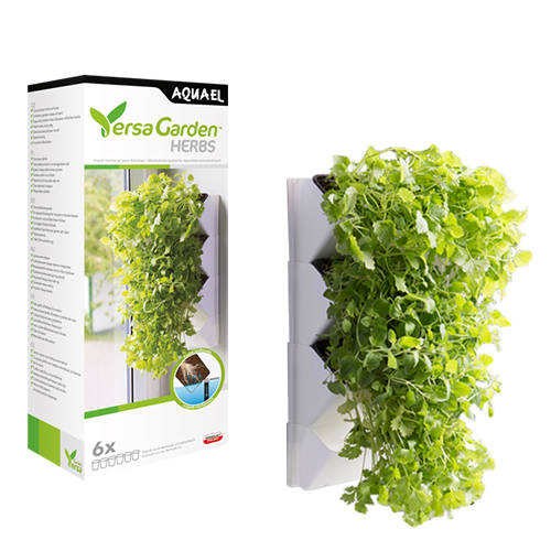AquaEl Versa Garden Herbs - Fali fűszernövény tartó (6x)