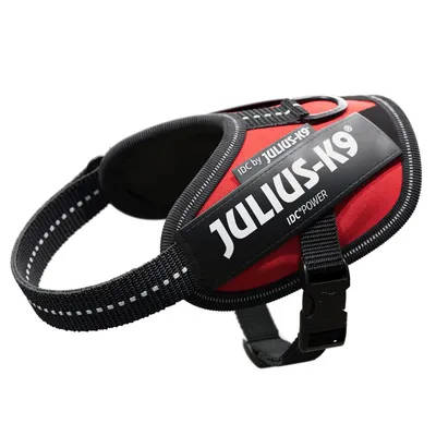 Julius K-9 IDC Powerhám Baby 1 (piros) 0,8-3kg-ig
