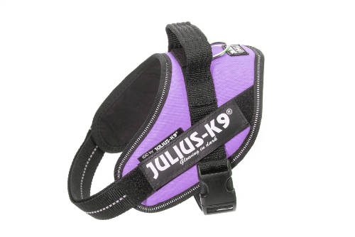 Julius K-9 IDC Powerhám 0-ás méret (lila) 14-25 kg-ig KIZÁRÓLAG RENDELÉSRE TARTOTT TERMÉK!