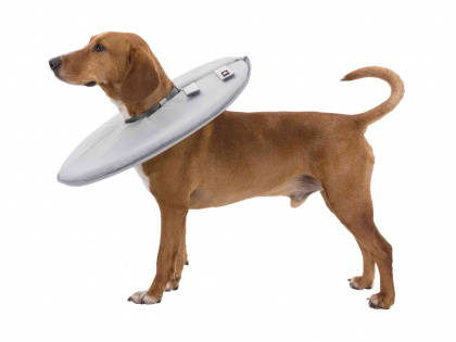 Trixie Protective Collar - védő gallér (szürke) L (46-49cm/24cm)