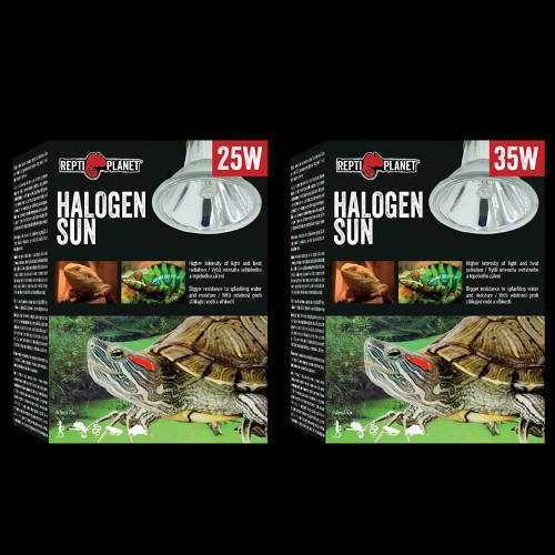 Repti Planet Halogen Sun - Inzenzív fénytsugárzó izzó - (25W)