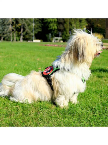 KT. Yutipet Safety Harness (XS) - hám (biztonági, zöld) kutyák részére (36-47cm/20mm) max:5kg