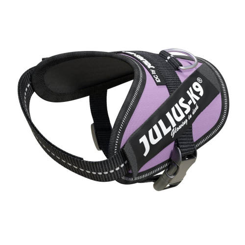 Julius K-9 IDC Powerhám Baby 2-es méret (lila) 2-5 kg-ig (KIZÁRÓLAG RENDELÉSRE!)