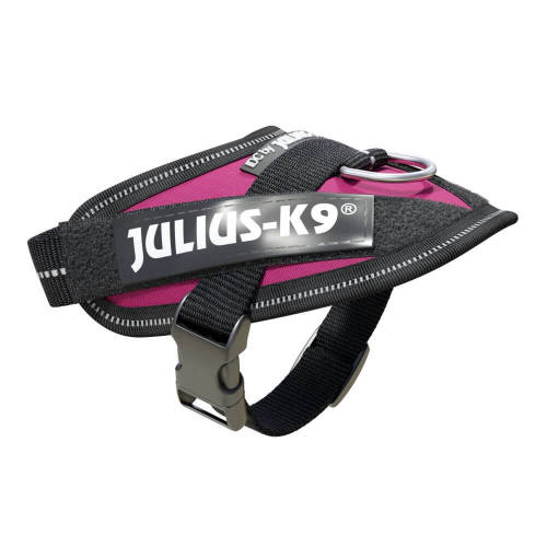 Julius-K9 Powerharness - hám (dark pink) kutyák részére (baby 1-es)