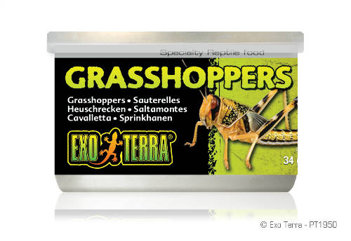 Exo-Terra Grasshoppers - hüllőeledel (szöcske) 34g