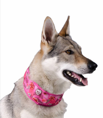 Aqua Coolkeeper hűtőnyakörv Rózsaszín XS