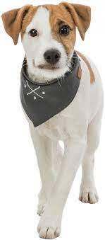 KT24: Trixie Be Nordic neckerchief - kendős nyakörv (sötétszürke, mintával) kutyák részére (S) 30cm