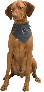 KT24: Trixie Be Nordic neckerchief - kendős nyakörv (sötétszürke, mintával) kutyák részére (M) 40cm