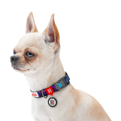 WAUDOG collar NASA21 - nyakörv (QR kódos, NASA21 dizájn, müa.csatt) kutyák részére (35-58cm/25mm) XL