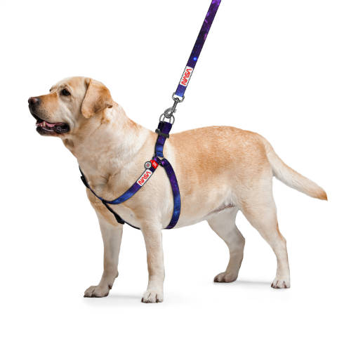 WAUDOG harness NASA21 - hám (QR kódos, NASA21 dizájn, müa.csatt) kutyák részére (60-90cm/25mm) S