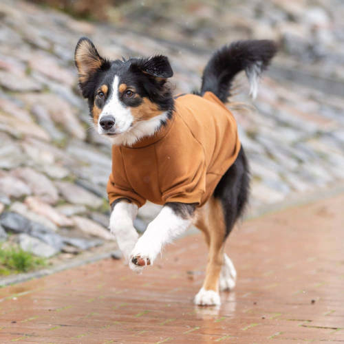 Trixie CityStyle Amsterdam sweatshirt - pulóver (rozsdabarna) kutyák részére (L) 55cm