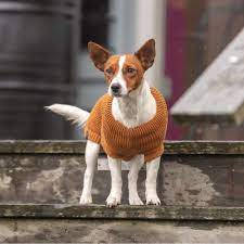 Trixie Pullover CityStyle Berlin - pulóver (rozsdabarna) kutyák részére (S) 36cm