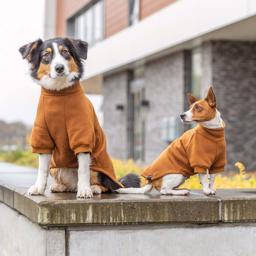 Trixie Pullover CityStyle Berlin - pulóver (rozsdabarna) kutyák részére (S) 40cm