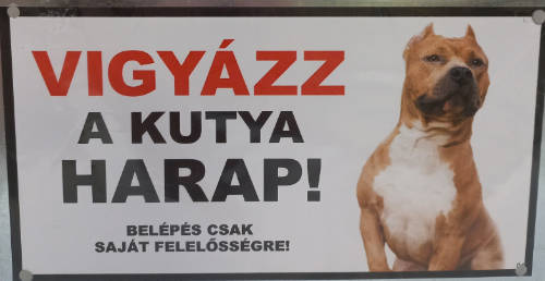 Kutyatábla - fém (amstaff vágott füllel) 9x13cm
