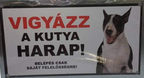 Kutyatábla - műanyag  (bullterrier) 9x13cm