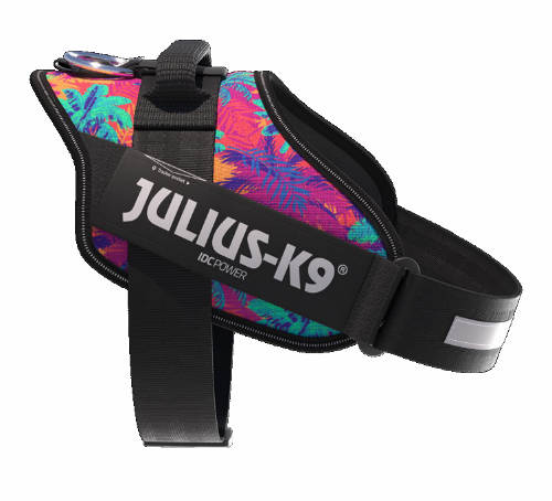 Julius K-9 IDC Powerhám (2XS/B2 méret, Vibe) kutyák részére