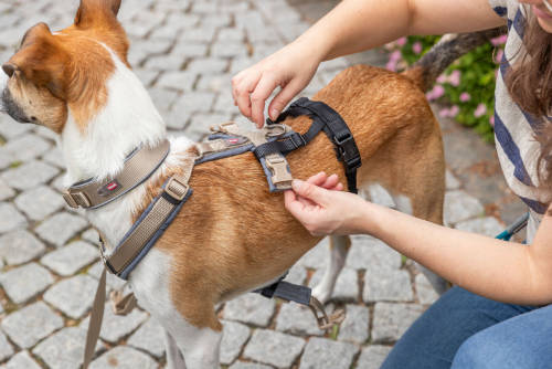 Trixie Stay Panic-adaptor for harnesses, (szökésbiztos) hámhoz csatlakoztatható védelem - fekete  L–XL: 59–92 cm/25 mm