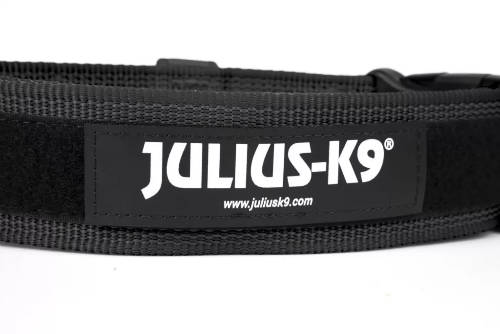 Julius K-9 Color&Gray nyakörv fogóval és cserélhető felírattal, (40mm), fekete 100HA-K-2024
