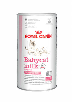 Royal Canin BabyCat Milk - tejpótló tápszer macskák részére (300g)