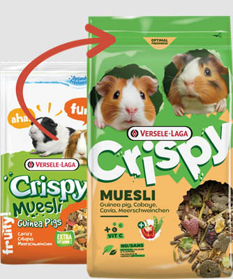 Versele-Laga Crispy Muesli Guinea Pig - Müzli eleség tengerimalac részére (850g)
