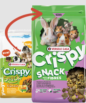 Versele-Laga Cryspy Snack Fibres - kiegészítő eleség rágcsálóknak (550g)