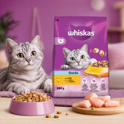 Whiskas Adult Sterile Chicken - Szárazeledel (csirkehússal) felnőtt macskák részére (800g)