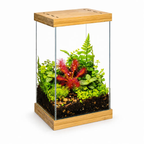 aquael SELVA - MINI TERRARIUM