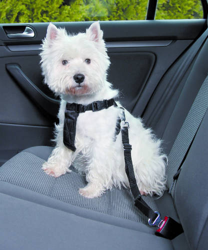 Trixie Car Harness - biztonsági öv kutyák részére - S - (30-60cm/20mm)
