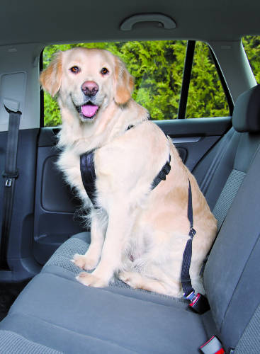 Trixie Car Harness - biztonsági öv kutyák részére - L - (70-90cm/25mm)