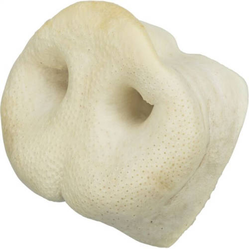 Trixie Pig Snout - jutalomfalat (orrkorong) 