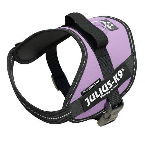 Julius-K9 IDC Powerhám (lila) kutyák részére (mini méret) (KIZÁRÓLAG RENDELÉSRE!)