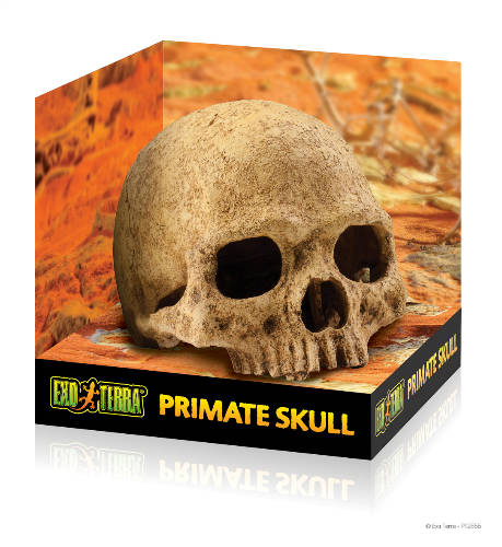 Exo-Terra Primate Skull - főemlős koponya formájú búvóhely hüllők részére (12cm)